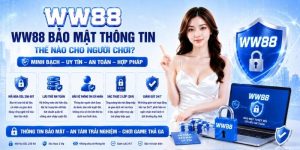 WW88 Bảo Mật Thông Tin Thế Nào? 5 Lớp Bảo Vệ Dữ Liệu Tuyệt Đối